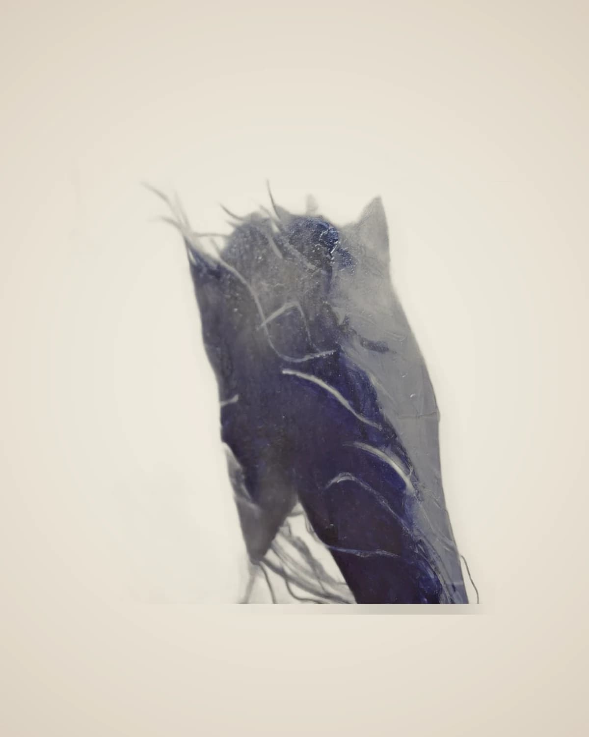 Blue Dream dekoratives Luxus-Pferdegemälde — TUTA — 4