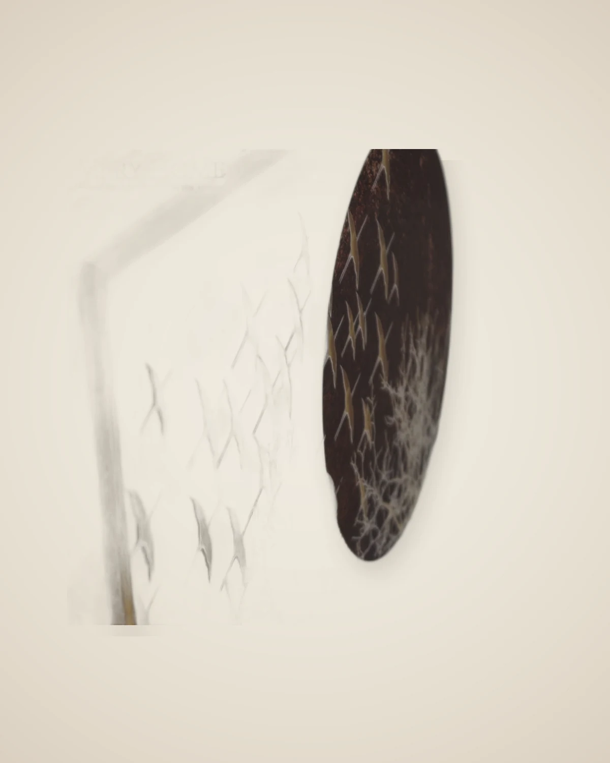 Che dekorative Luxusmalerei — TUTA — 5