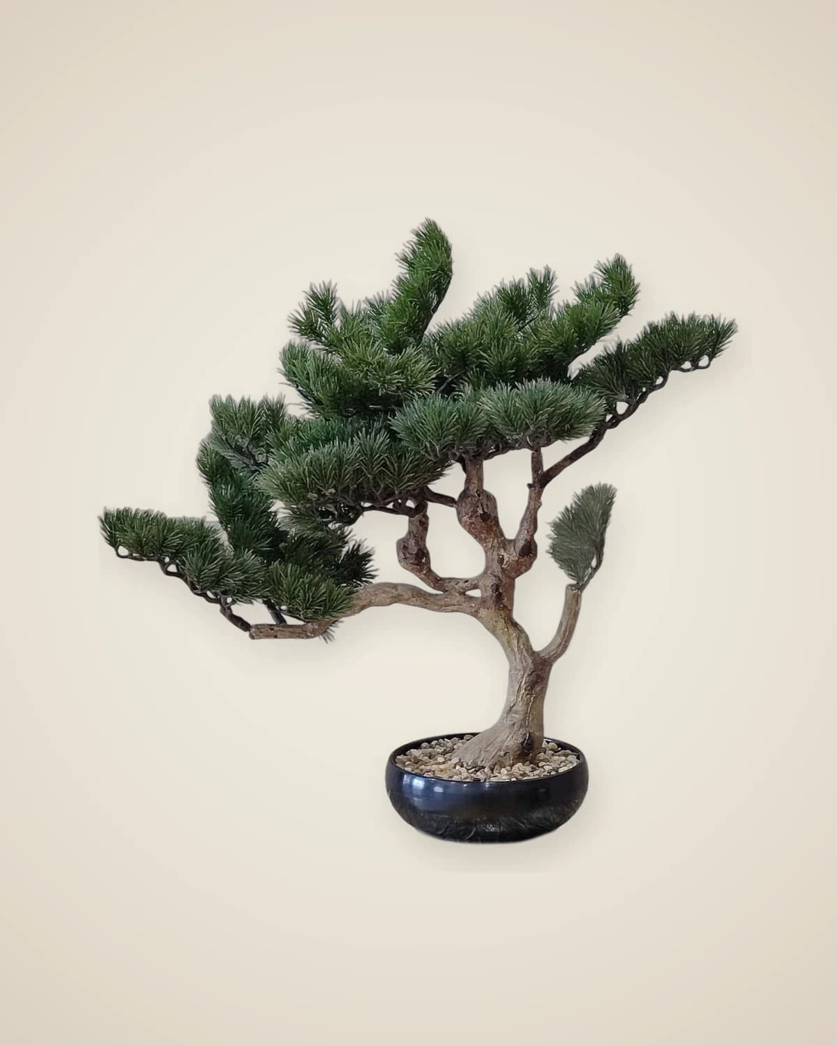 Кипарис Бонсай Искусственное дерево — TUTA — 2