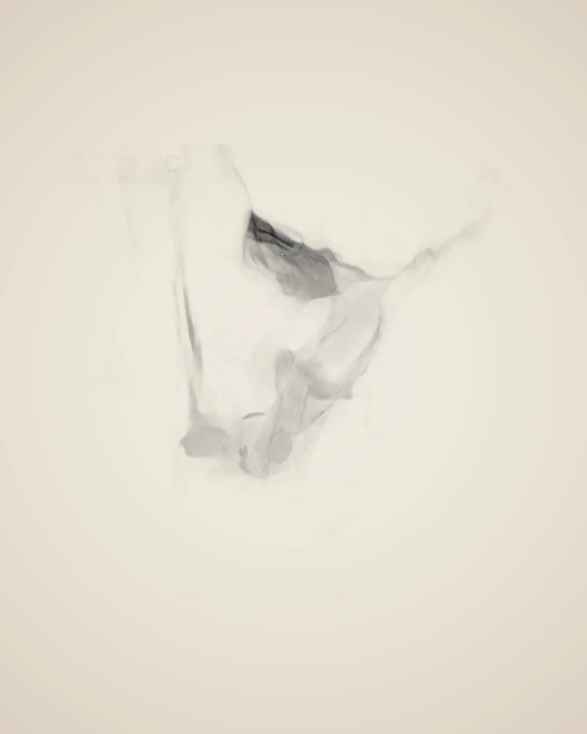 Elegantes Bloom-geprägtes, dekoratives Blumengemälde, grau, gerahmt, 103 x 133 cm — TUTA — 6