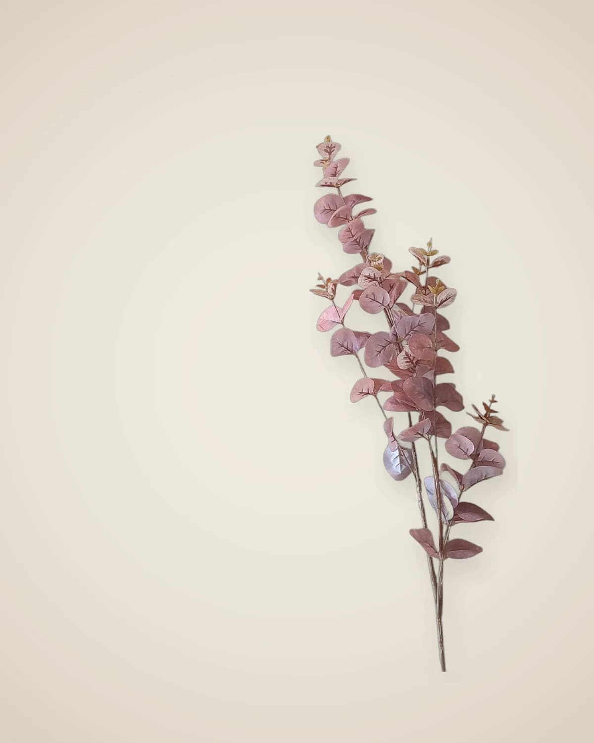 Флорель Искусственные деньги Цветочная ветка — TUTA — 6