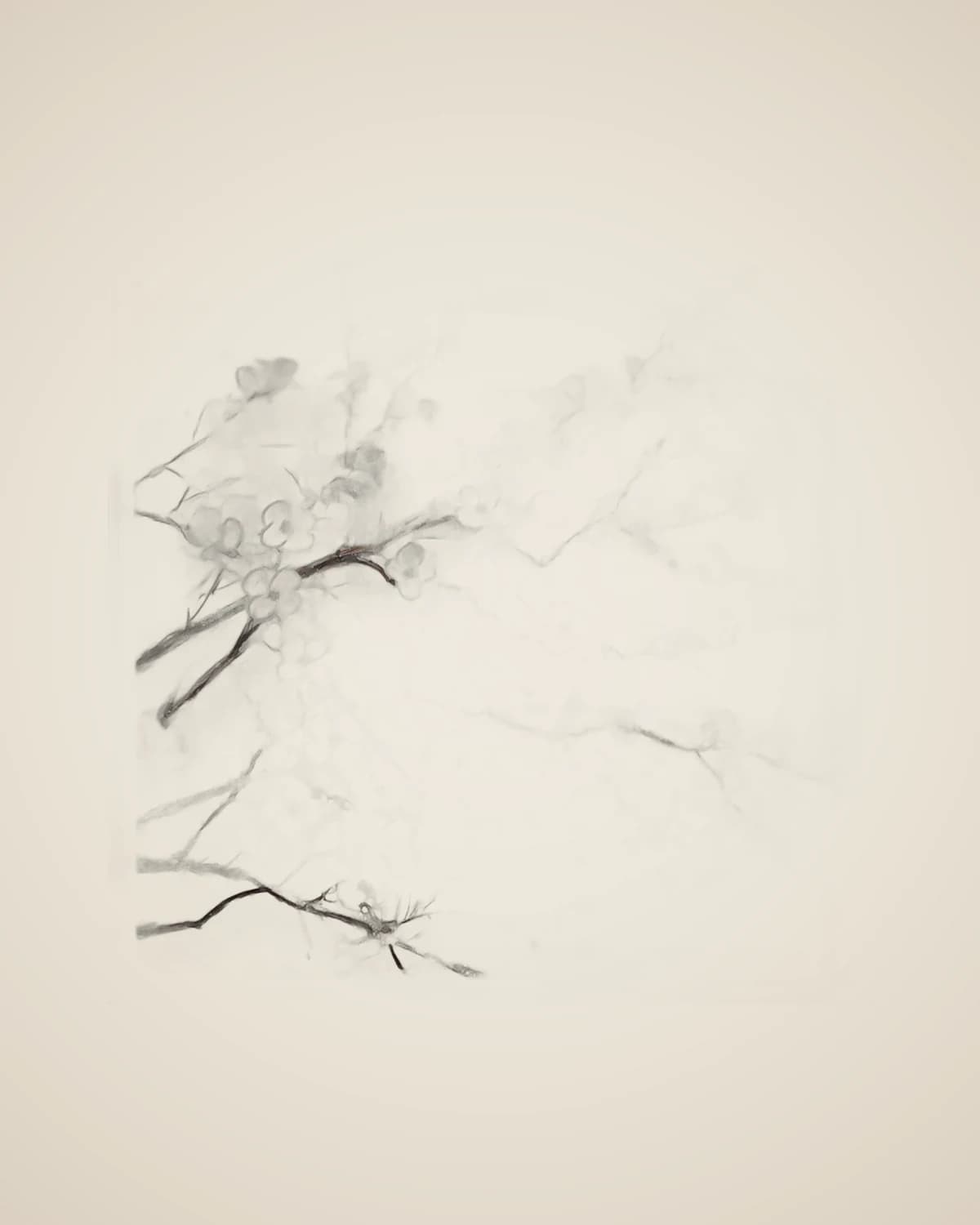 Blume der Erde – Strukturiertes modernes abstraktes Wohnzimmer-Ölgemälde 100 x 100 cm — TUTA — 2