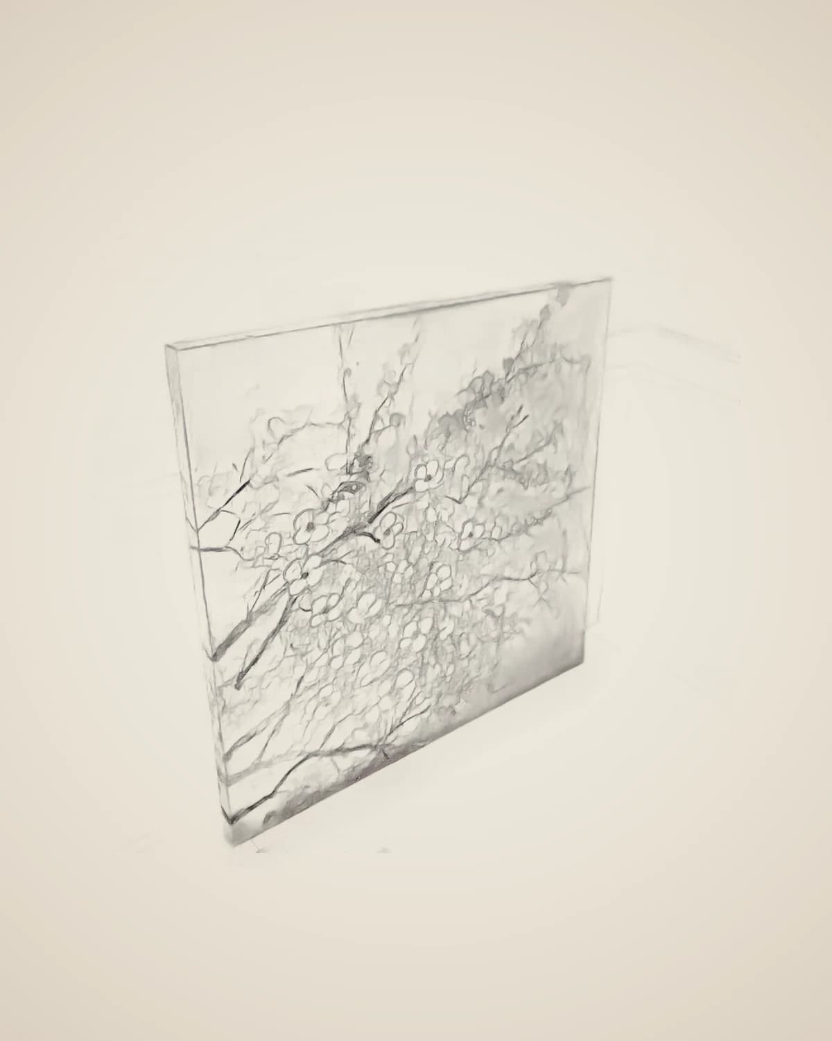 Blume der Erde – Strukturiertes modernes abstraktes Wohnzimmer-Ölgemälde 100 x 100 cm — TUTA — 3