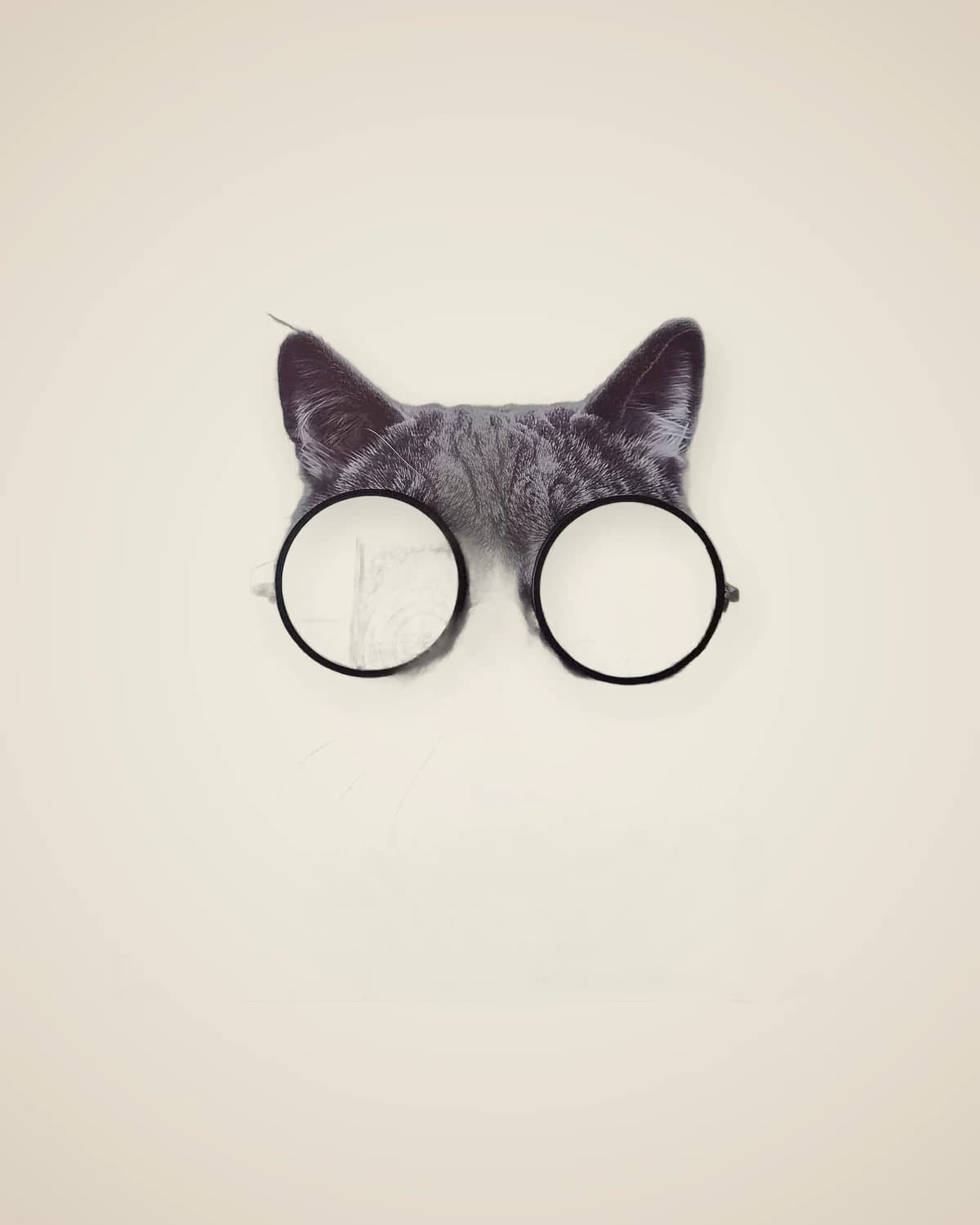 Mr. Ray Ban Puppy Mirrored Decorative Dog Themed Painting 103x153cm — TUTA — 2