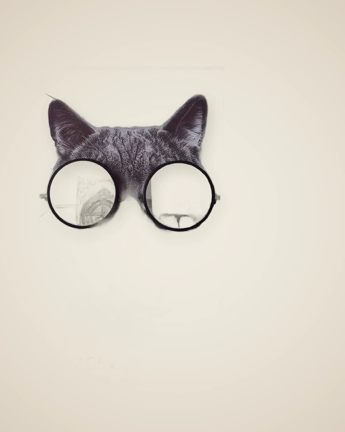 Mr. Ray Ban Puppy Mirrored Decorative Dog Themed Painting 103x153cm — TUTA — 4