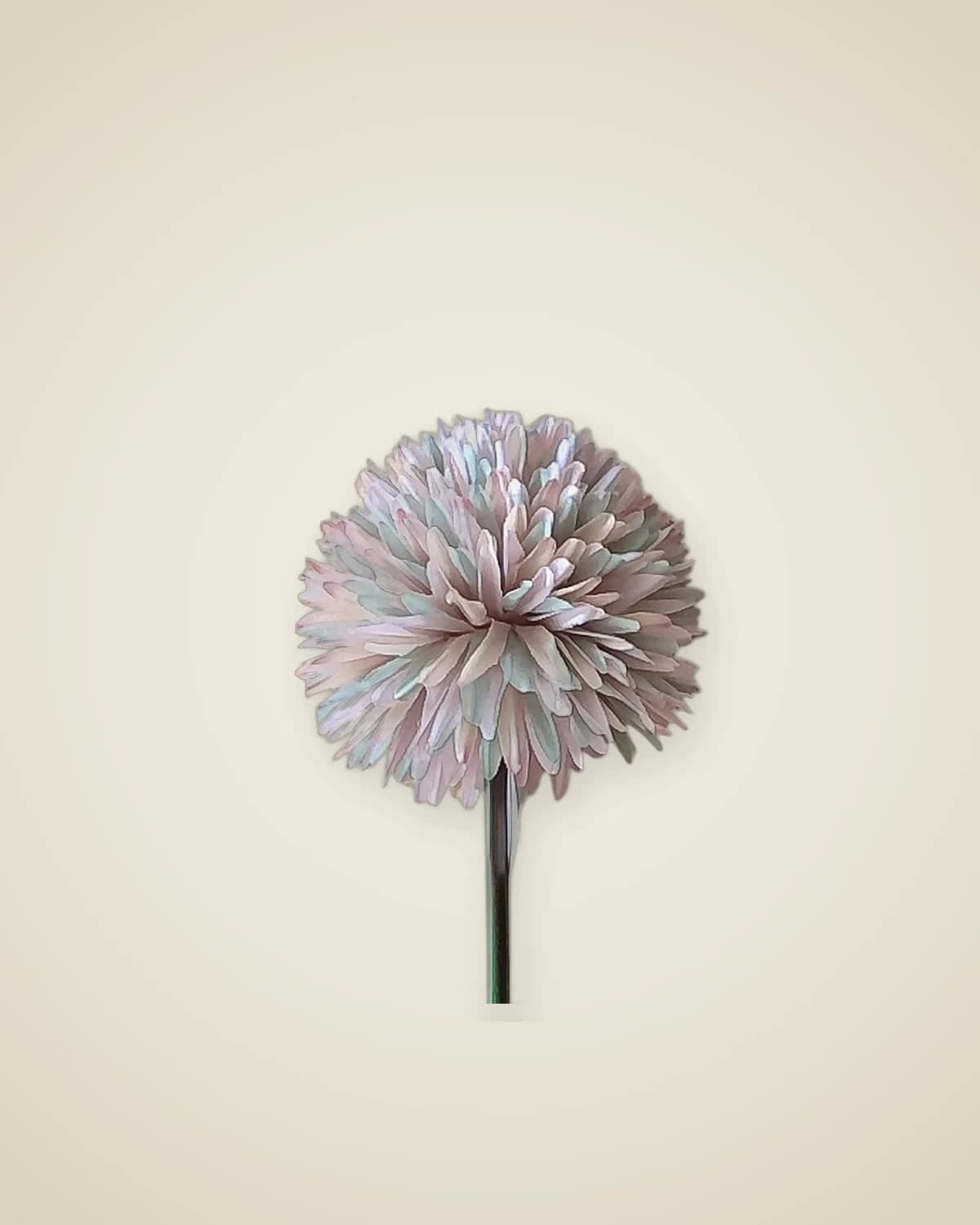 Мистический искусственный цветок хризантемы красочный — TUTA — 2