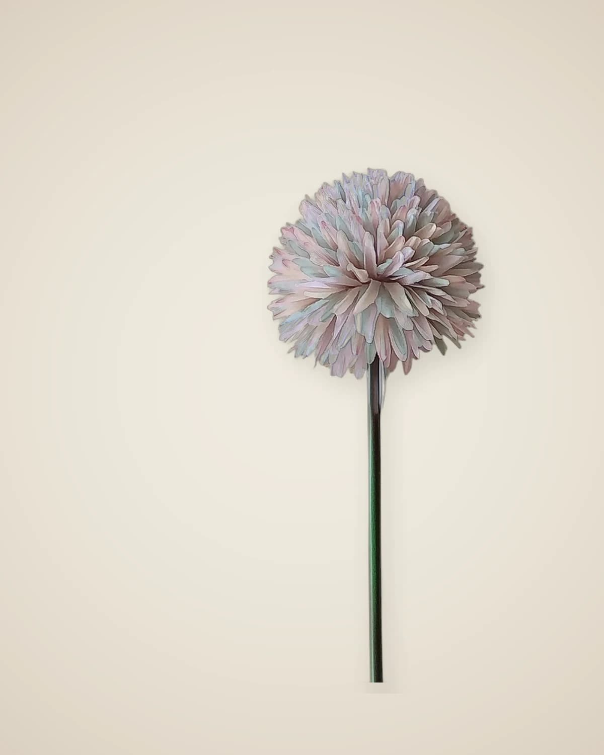 Мистический искусственный цветок хризантемы красочный — TUTA — 5