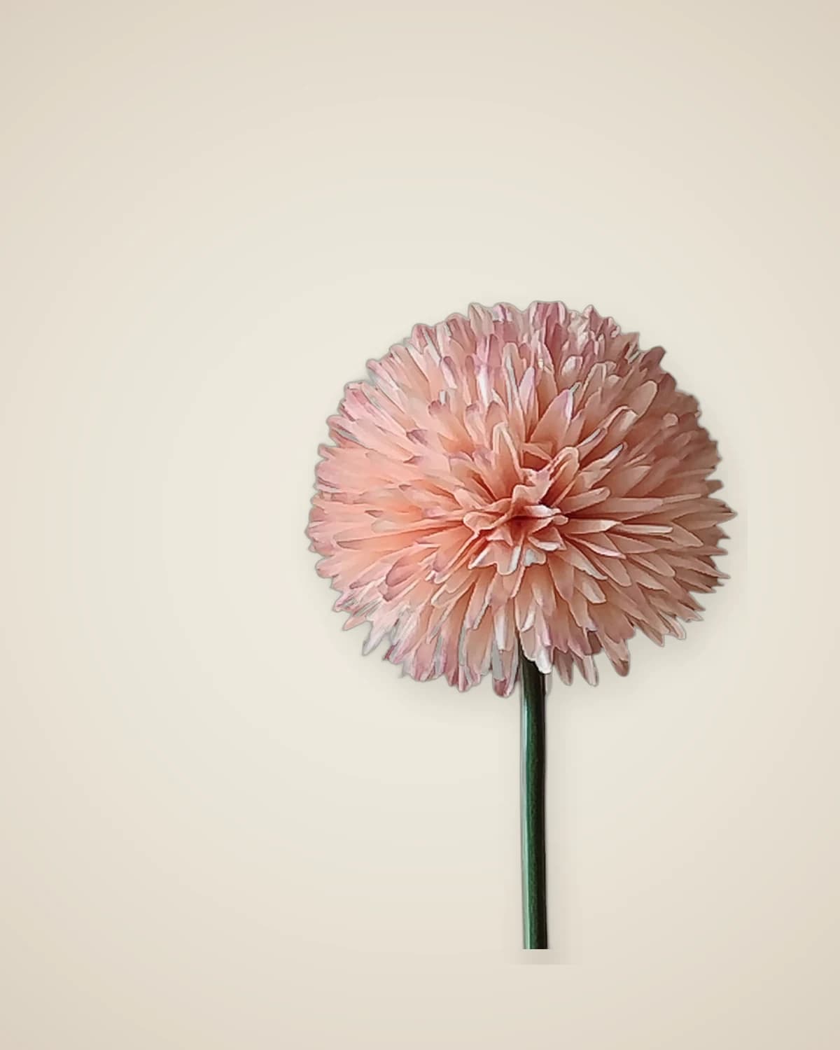 Мистический искусственный цветок хризантемы лосось — TUTA — 2