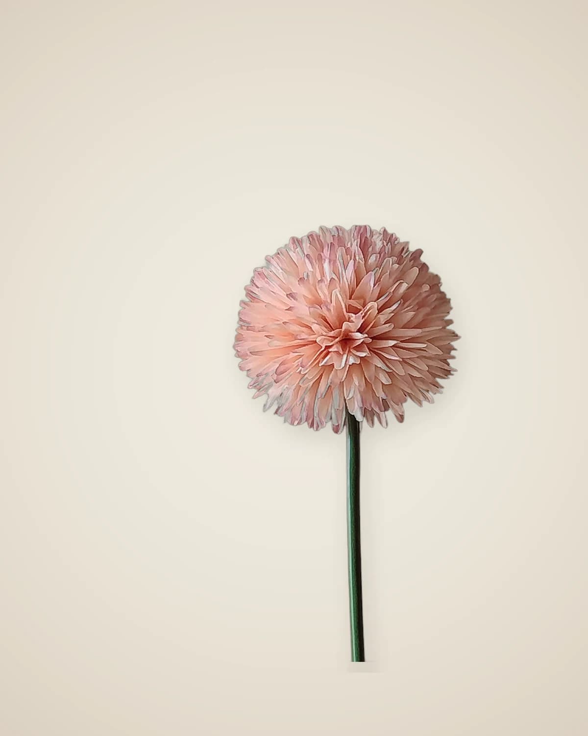 Мистический искусственный цветок хризантемы лосось — TUTA — 5