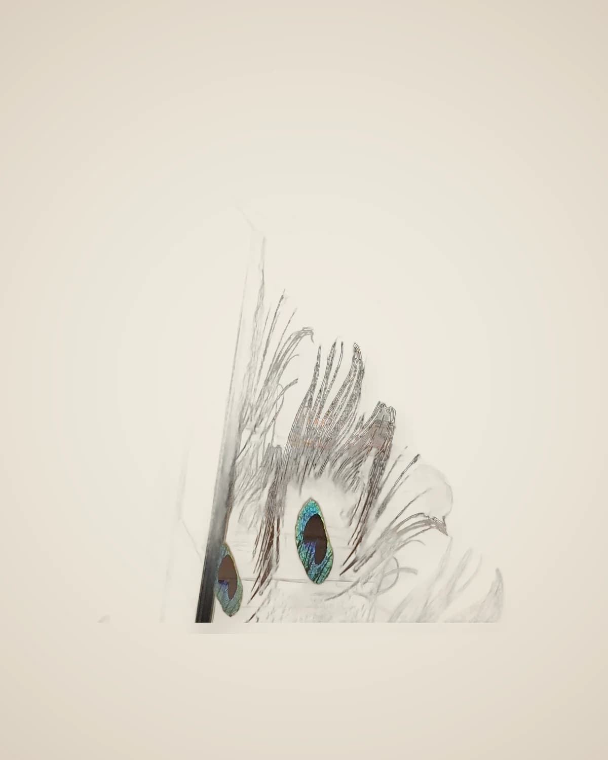 Luxuriöser Spiegeltisch mit Pfauenmuster — TUTA — 6