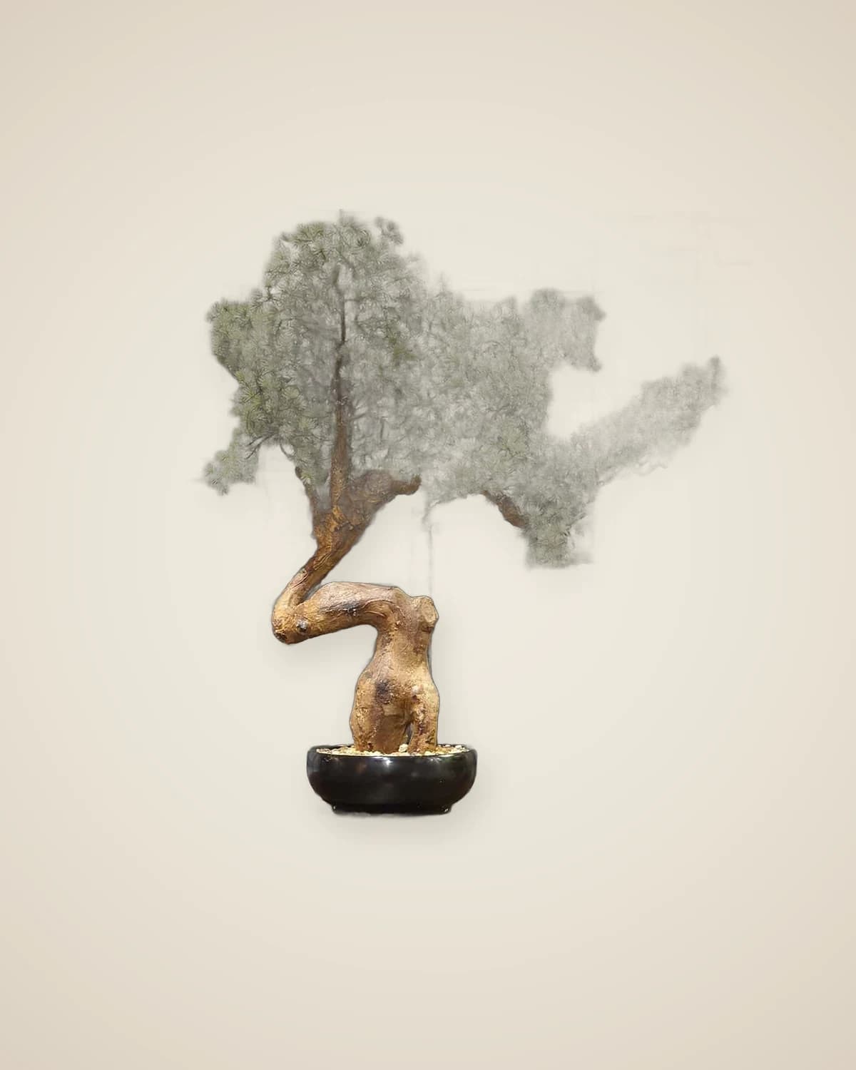 Сосна Бонсай Искусственное дерево — TUTA — 3