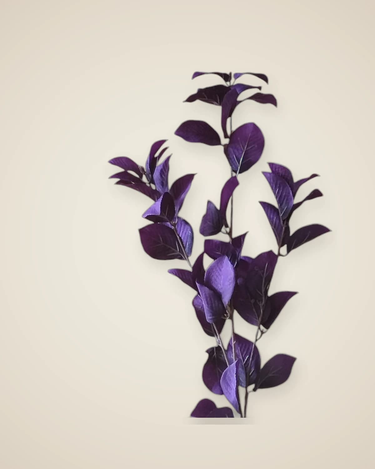 Искусственная ветка эвкалипта Purple Whispers (фиолетовая) — TUTA — 2