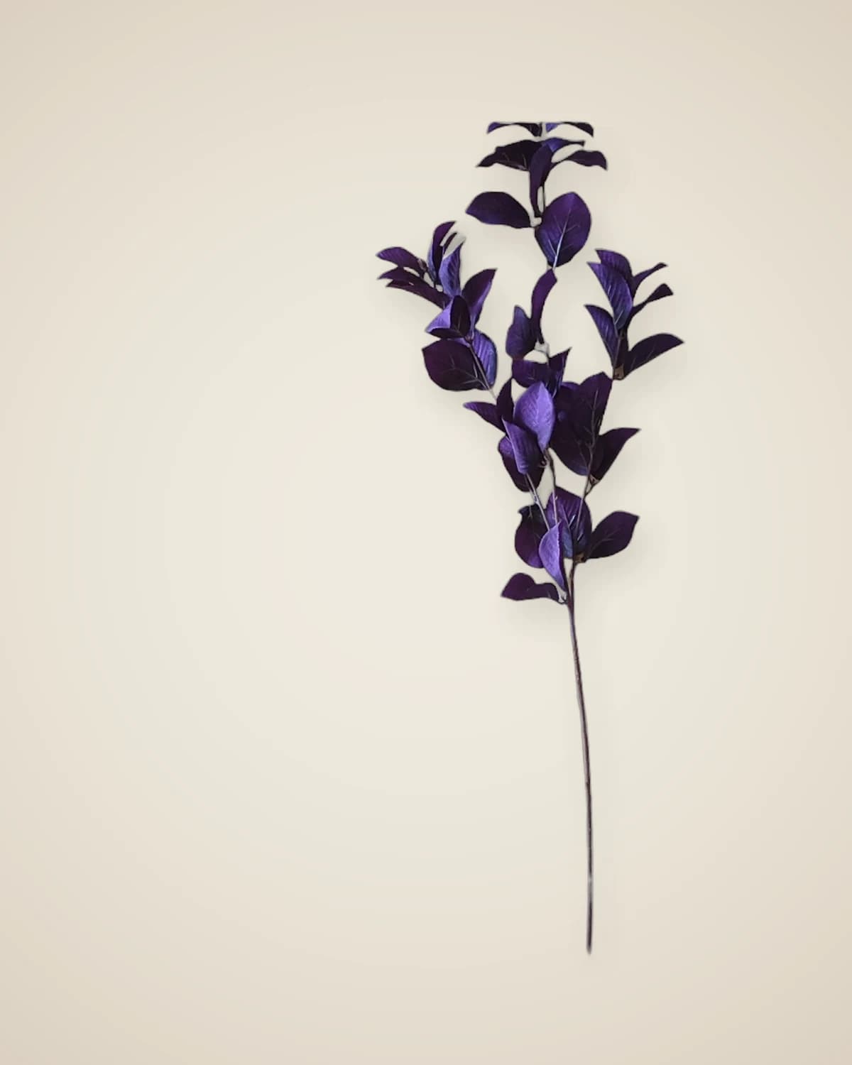 Искусственная ветка эвкалипта Purple Whispers (фиолетовая) — TUTA — 4