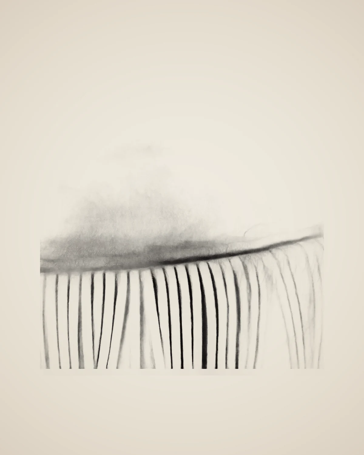 Tempest Black Luxuriöses dekoratives Pouf-Zubehör — TUTA — 5