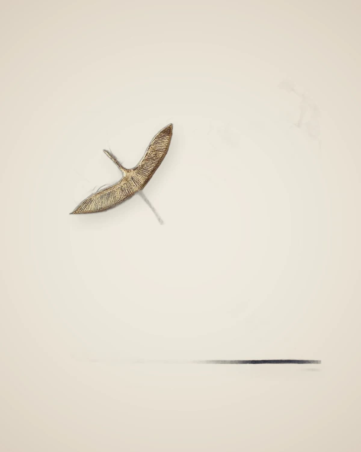 Dreidimensionales, mit Blattgold bedecktes Vogelgemälde — TUTA — 5