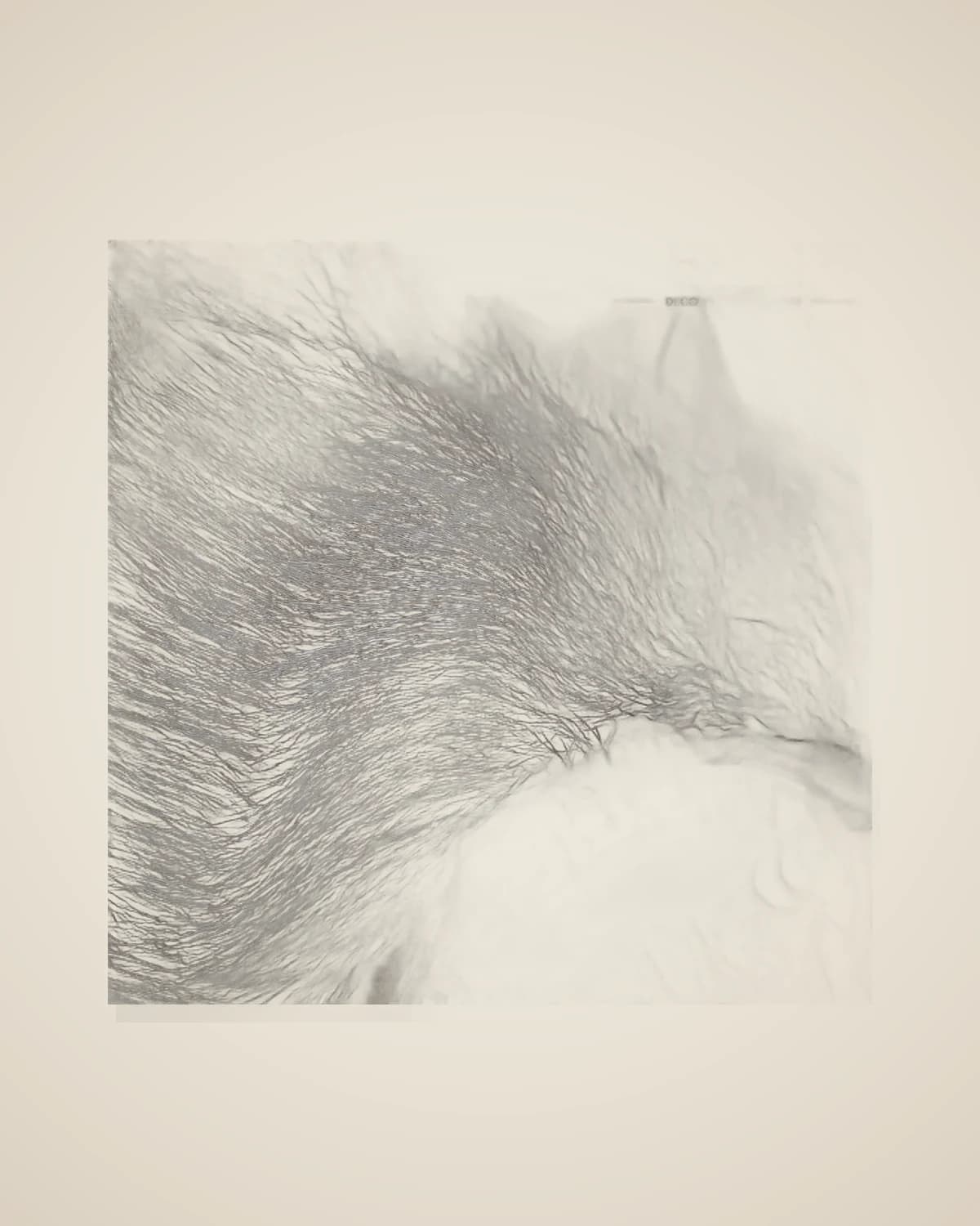 Toscana Hellbraunes Dekokissen aus natürlichem Fell — TUTA — 6